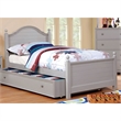 Rosebery Kids Transitional Solid Wood Twin Panel Kids Bed in Gray