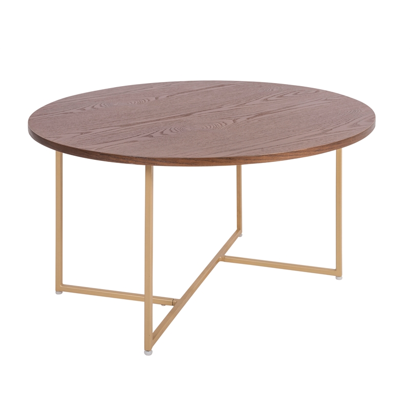 Elle Decor Ines Coffee Table in Burnt Sienna