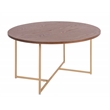 Elle Decor Ines Coffee Table in Burnt Sienna