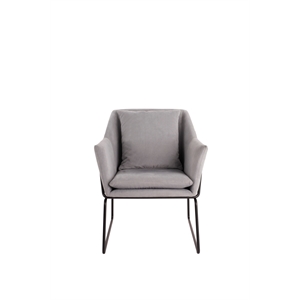 Elle Decor Odile Accent Chair in French Gray