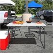 COSCO 4 ft. Fold-in-Half Portable Utility Table  Indoor/Outdoor in Gray