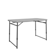 COSCO 4 ft. Fold-in-Half Portable Utility Table  Indoor/Outdoor in Gray