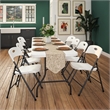 COSCO Solid Resin Indoor/Outdoor Double Braced Folding Chair in White (4-Pack)