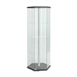 (Set of 2) Hexagon Glass Curio Cabinet in Black