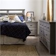 Home Square 2 Piece Bedroom Set with Dresser and Nightstand in Gray Maple
