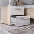 2PC Set with 1 Nightstand and 1 Double Dresser in Oak and White Gloss