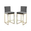 Home Square 2 Piece Upholstered Velvet Counter Stool Set in Gray