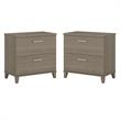 Home Square 2 Drawer Wood Filing Cabinet Set in Ash Gray (Set of 2)
