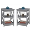 Home Square 2 Piece X Frame Wood End Table Set in Gray