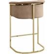 Home Square 2 Piece Velvet Counter Stool Set with Gold Metal Base in Beige