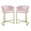 Home Square 2 Piece Velvet Counter Stool Set with Gold Metal Base in Pink