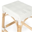 Home Square 2 Piece Rattan Counter Stool Set in White