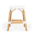 Home Square 2 Piece Rattan Counter Stool Set in White