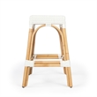 Home Square 2 Piece Rattan Counter Stool Set in White