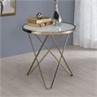 Home Square 2-Piece Furniture End Table Set in Frosted Glass and Champagne