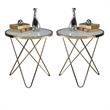 Home Square 2-Piece Furniture End Table Set in Frosted Glass and Champagne