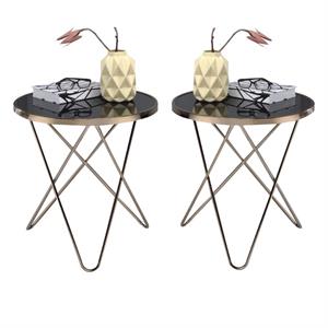 Home Square 2-Piece Furniture End Table Set in Black Glass and Champagne
