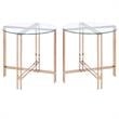 Home Square 2-Piece Furniture End Table Set in Gold and Champagne Finish