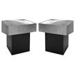 Home Square Palladium Textured Metal End Table in Chrome - Set of 2
