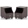 Home Square Moshe Modern Wood Storage End Table in Walnut - Set of 2