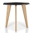 Home Square Bok Modern Chic Metal Tray-Top End Table in Black - Set of 2