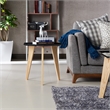Home Square Bok Modern Chic Metal Tray-Top End Table in Black - Set of 2