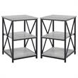 Home Square Wood Top X Frame End Table in Gray and Black - Set of 2