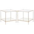 Home Square Square Glass Top End Table in Gold - Set of 2