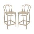 Home Square Indoor Outdoor Counter Stool in Taupe - Set of 2