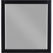 Home Square 2-Piece Set with Metal Dresser and Mirror in Rich Black