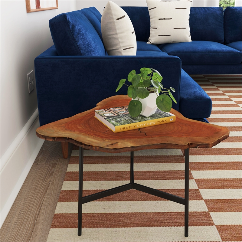 Home Square Modern Live Edge End Table in Natural Finish - Set of 2