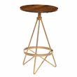 Home Square Wood Counter Height Stool in Elm and Gold - Set of 2