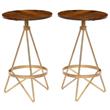Home Square Wood Counter Height Stool in Elm and Gold - Set of 2