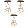 Home Square Wood Counter Height Stool in Elm and Gold - Set of 3