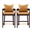 Home Square Faux Leather Barstool in Camal & Dark Walnut - Set of 2
