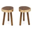Home Square Durable Rain Wood Bar Stool in Natural - Set of 2