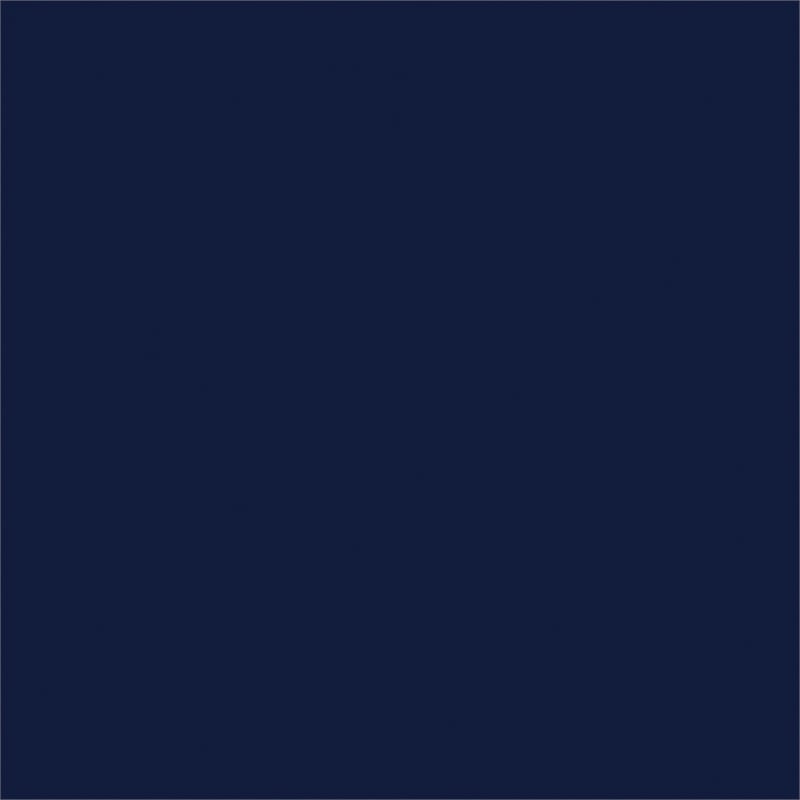 Home Square 2-Piece Set with Daybed with Trundle in Navy & Coffee Table