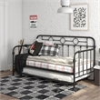 Little Seeds Willow Black Metal Daybed with Trundle