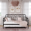 Little Seeds Willow Black Metal Daybed with Trundle