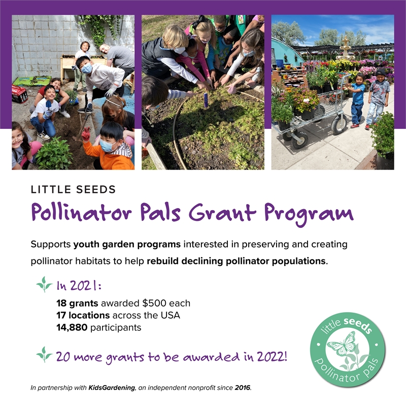 Little Seeds Aviary 3-in-1 Crib with Adjustable Mattress Height in White