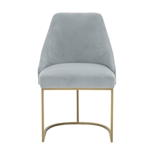 Maklaine Velvet Dining Side Chair in Gray and Brushed Gold (Set of 2)