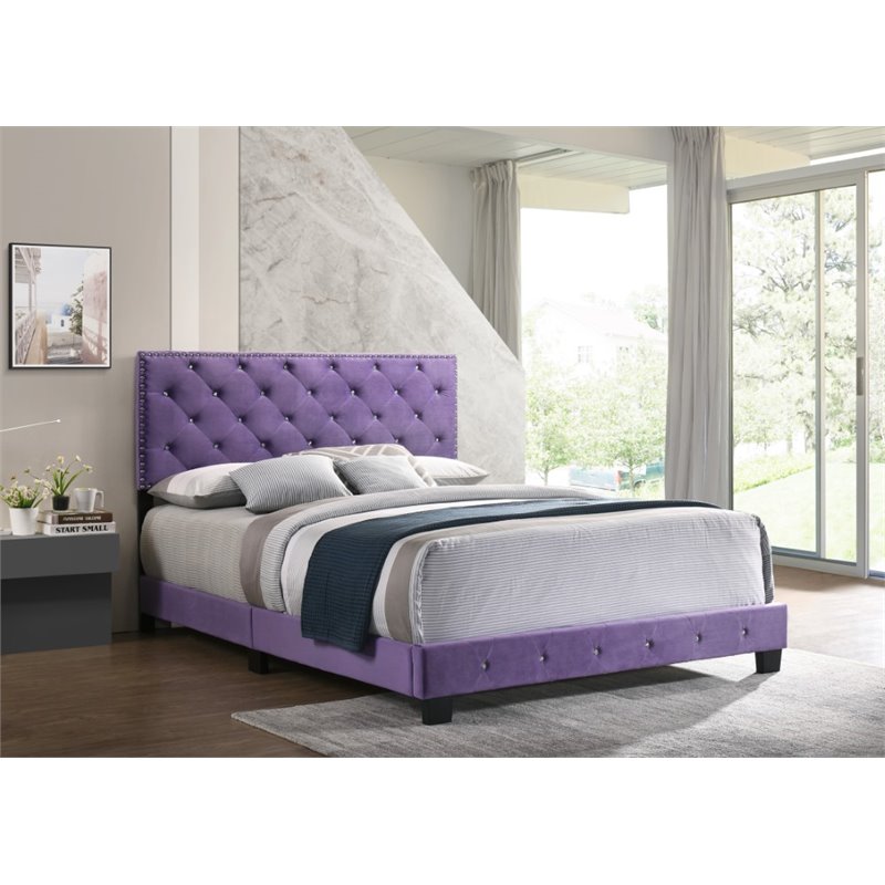 Maklaine Transitional Velvet Upholstered Queen Bed in Purple