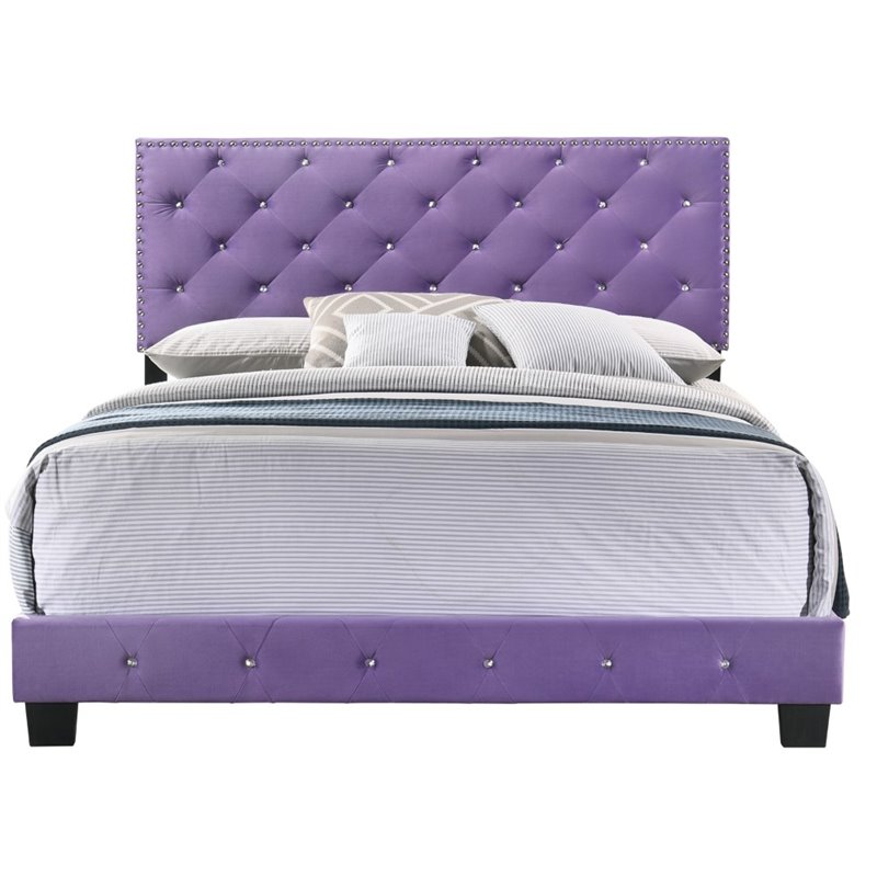 Maklaine Transitional Velvet Upholstered Queen Bed in Purple