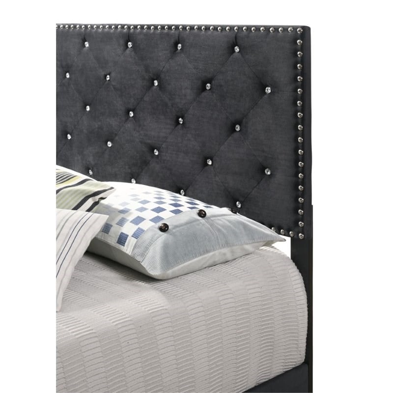 Maklaine Transitional Velvet Upholstered Queen Bed with Faux Jewels in Black