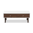 Maklaine Modern Wood Top Storage Coffee Table in White and Brown