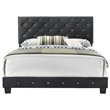 Maklaine Transitional Upholstered Velvet Full Bed in Black Finish