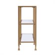 Maklaine Contemporary 2 Shelf Narrow Glass Top Console Table in Gold