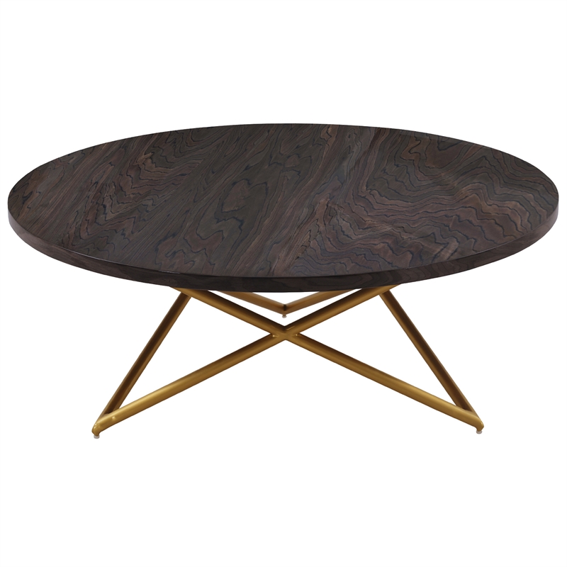 Maklaine Modern Veneer Wood/Metal Coffee Table in Brown/Brushed Gold