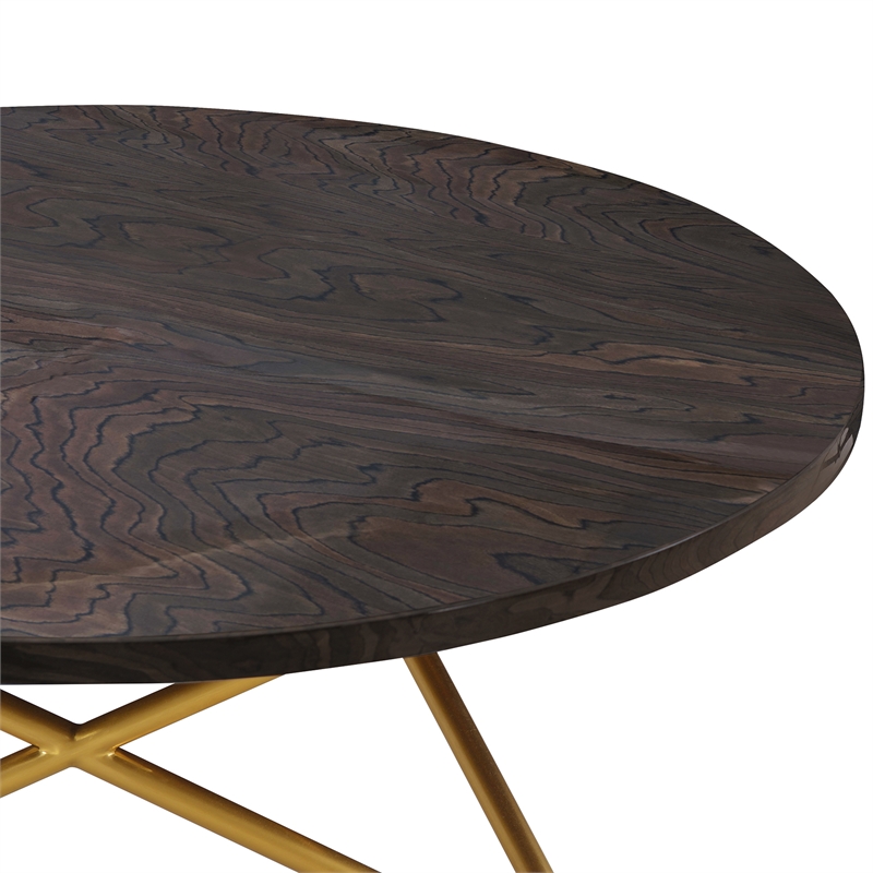 Maklaine Modern Veneer Wood/Metal Coffee Table in Brown/Brushed Gold