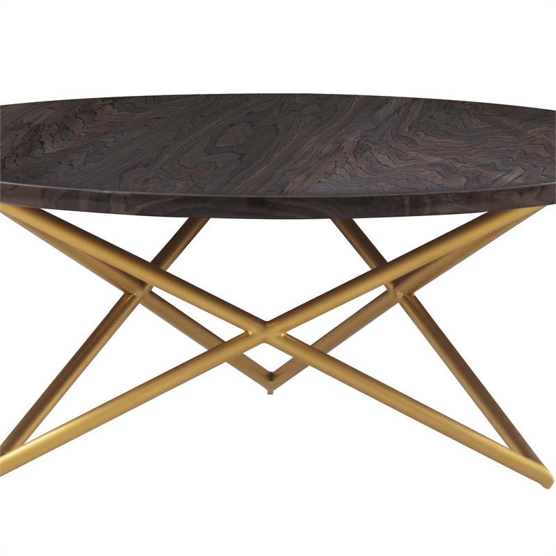 Maklaine Modern Veneer Wood/Metal Coffee Table in Brown/Brushed Gold